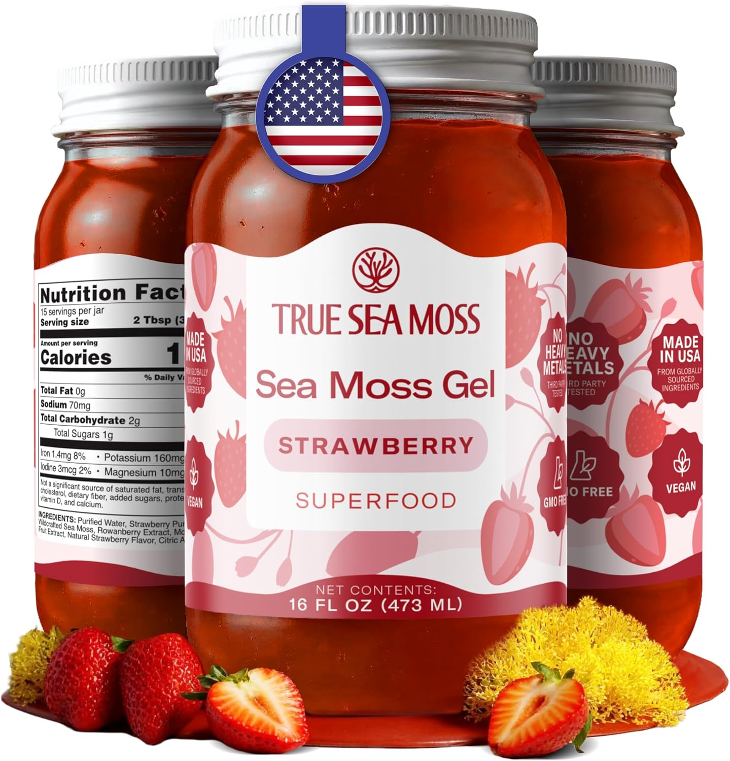 TrueSeaMoss Sea Moss Gel – Made in USA – Wildcrafted Seamoss, Fruits & Jarred Vegetables – Strawberry, Pack of 1 (Labels may Vary)