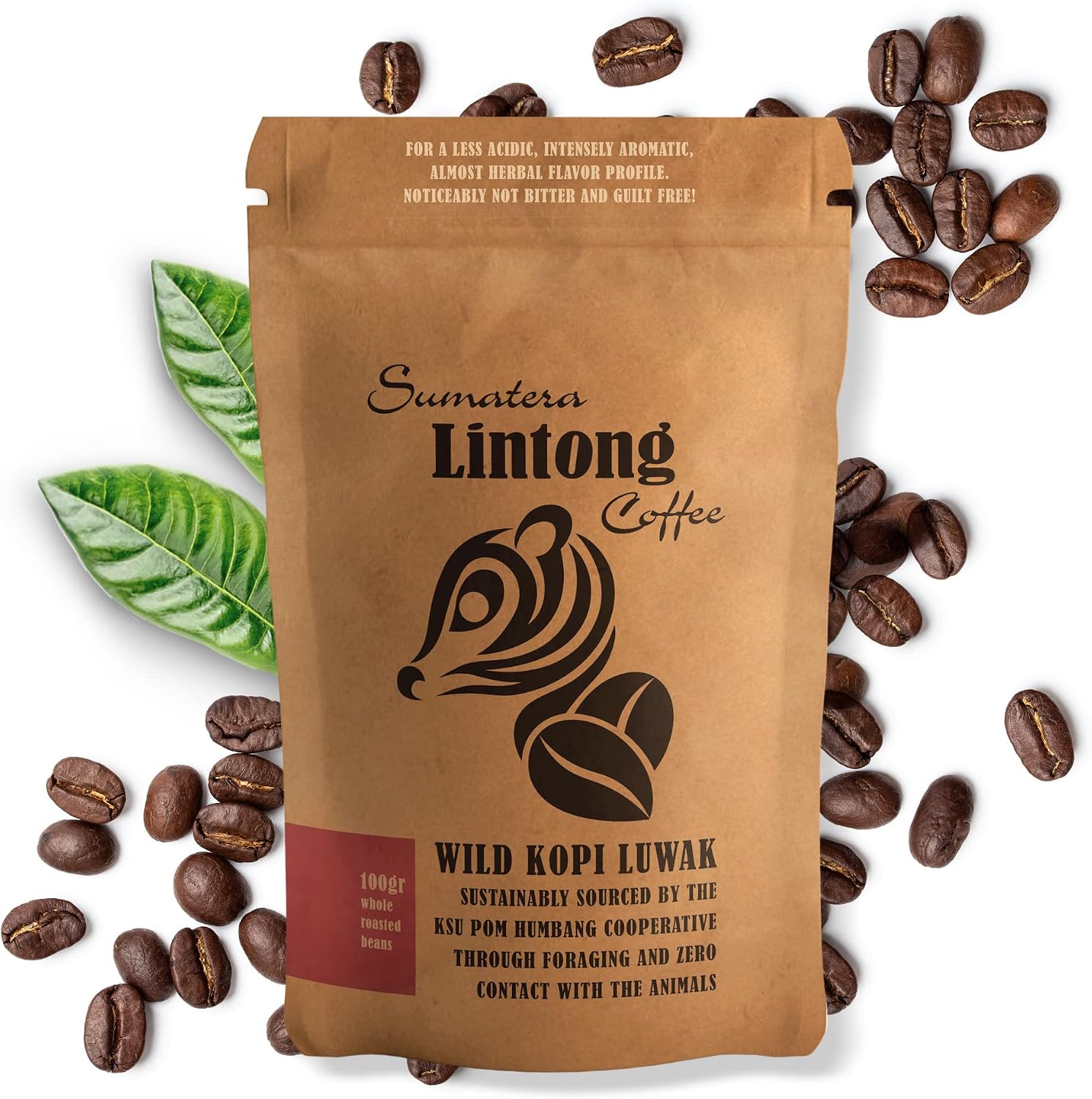 Wild Kopi Luwak, the World’s Most Exclusive Coffee, Sustainably Sourced From Sumatra, Indonesia (100gr / 3.5oz)