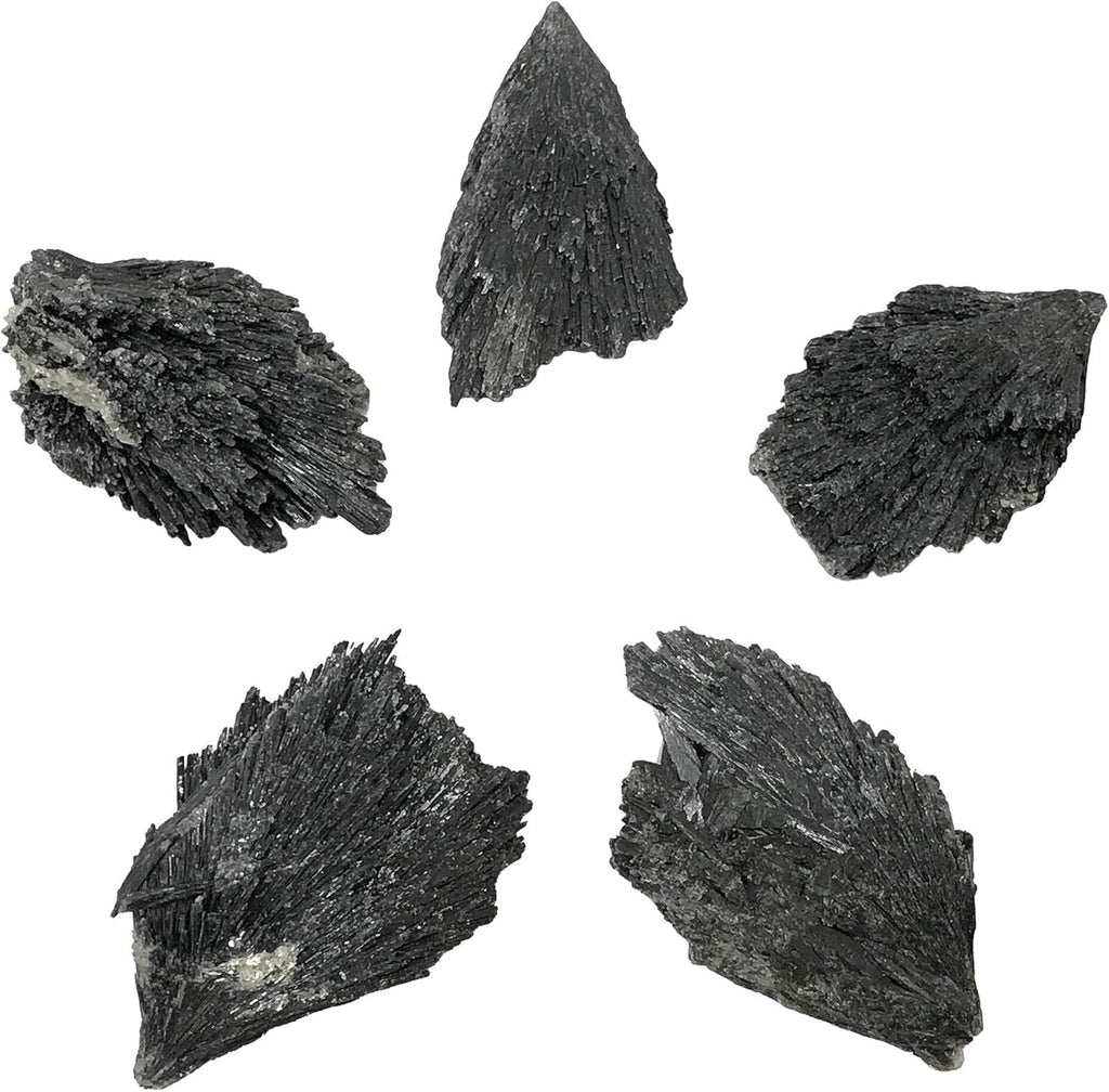Gem Avenue Natural Black Kyanite Blades Gemstone Crystal 2 to 2.5 inch