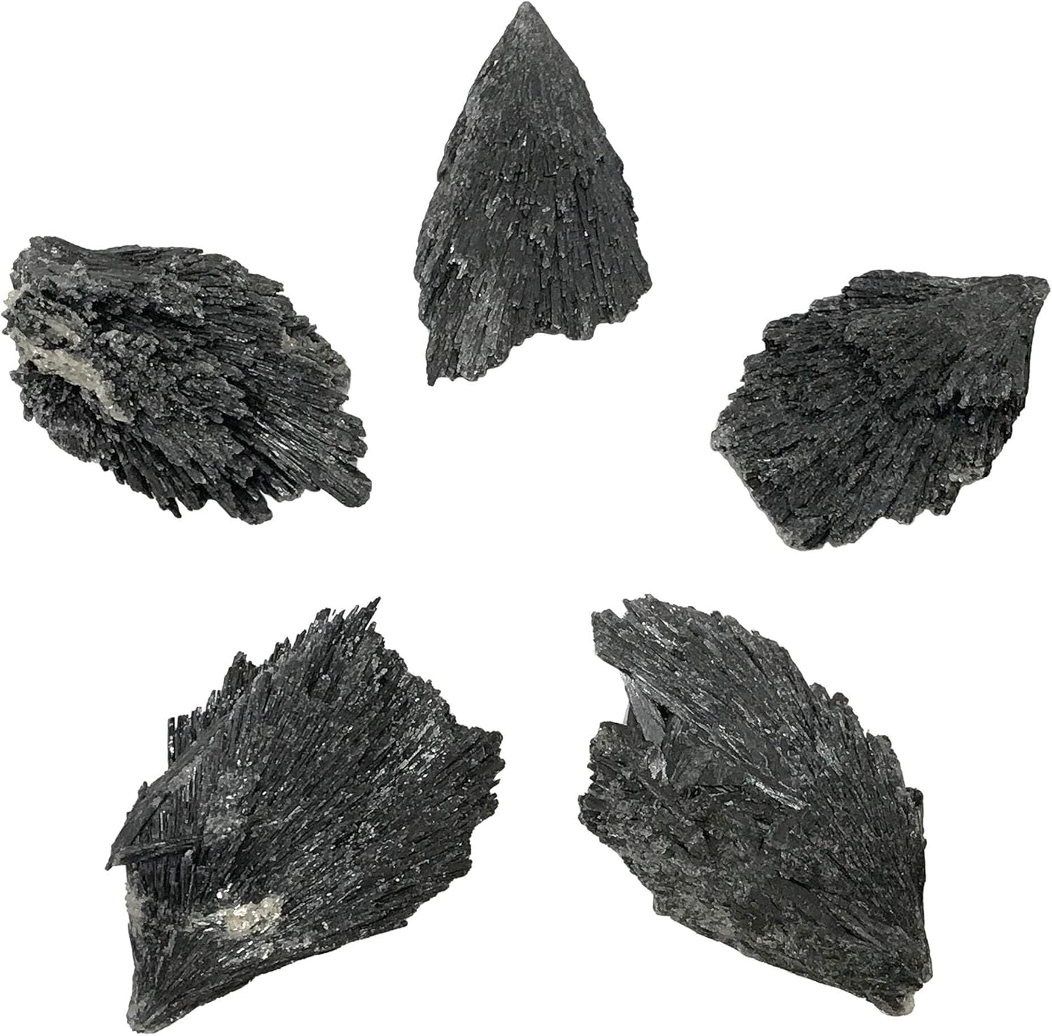Gem Avenue Natural Black Kyanite Blades Gemstone Crystal 2 to 2.5 inch