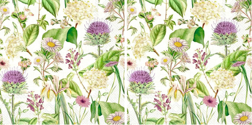 IHR Ideal Home Range - Paper Napkins WILDFLOWER cream 20-Count 3-Ply Cocktail Napkins 5 x 5 inches (Pack of 2)