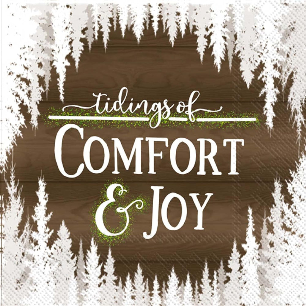 Ideal Home Range Comfort and Joy Party Napkins - 40 Count | 2 Pack of 20CT 3-Ply Cocktail Napkins, Snow-Covered Design