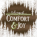 Ideal Home Range Comfort and Joy Party Napkins - 40 Count | 2 Pack of 20CT 3-Ply Cocktail Napkins, Snow-Covered Design