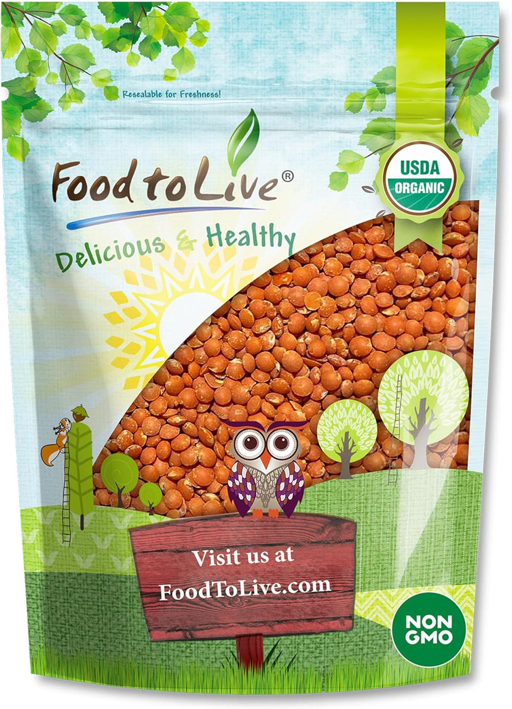 Food to Live Organic Red Lentils (Football), 1 Pound – Whole Decorticated Red Lentils, Non-GMO, Vegan, Kosher, Bulk, Great for Soups and Curries