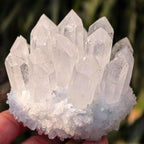 Crystal Cluster Reiki Healing Stone Natural Quartz Point Mineral Crystal Specimen Home Decor Gift (About 600g White Crystal)