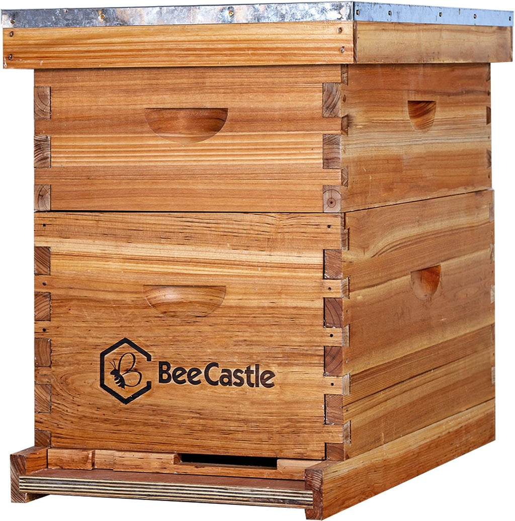 BeeCastle 10-Frames Complete Beehive Kit, 100% Beeswax Coated Bee Hive Includes Beehive Frames and Beeswax Coated Foundation Sheet (2 Layer)