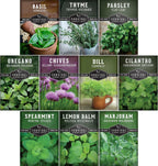 Indoor Herb Seeds Variety Pack | 10 Herbs for Planting – Basil, Mint, Parsley, Cilantro, Thyme, Dill, Chives, Oregano, Lemon Balm, Marjoram – Kitchen Garden Gift Set – Survival Garden Seeds