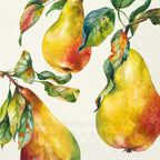 IHR Ideal Home Range Party Napkins Disposable 3-Ply Paper Lunch Napkin Pack, 6.5" x 6.5", Home Grown Pears, 20-Count