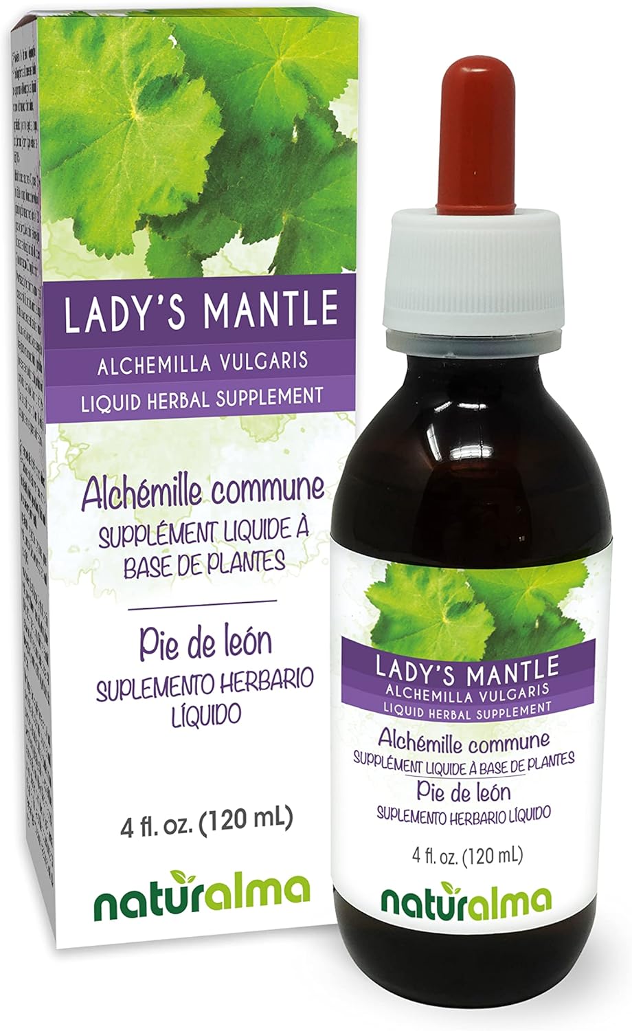 Naturalma Lady's Mantle (Alchemilla vulgaris) herb Alcohol-Free Tincture - 4 fl oz Liquid Extract in Drops - Herbal Supplement - Vegan