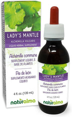 Naturalma Lady's Mantle (Alchemilla vulgaris) herb Alcohol-Free Tincture - 4 fl oz Liquid Extract in Drops - Herbal Supplement - Vegan