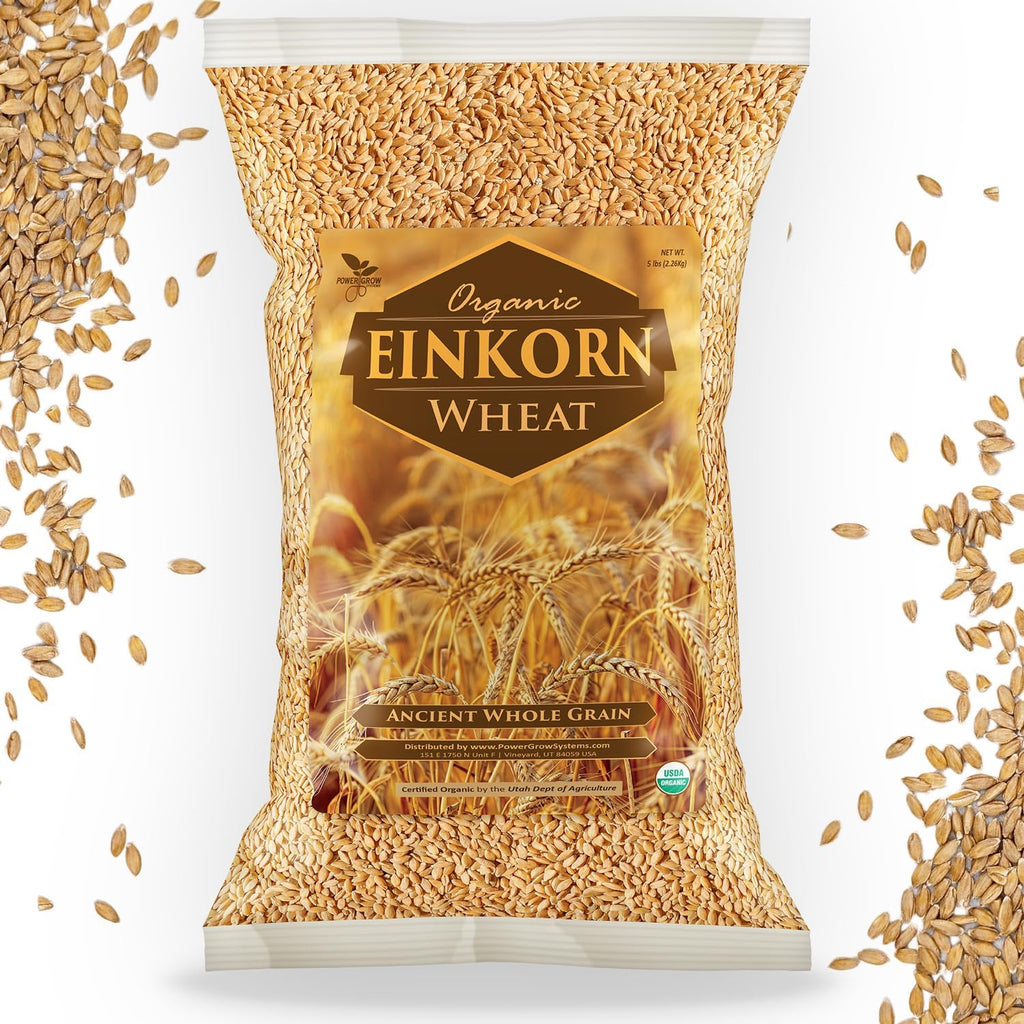 Einkorn Wheat Berries - 100% Certified Organic Einkorn Whole Wheat Grain (5 pounds) by PowerGrow Systems (Einkorn Wheat Berries 5 Pounds)