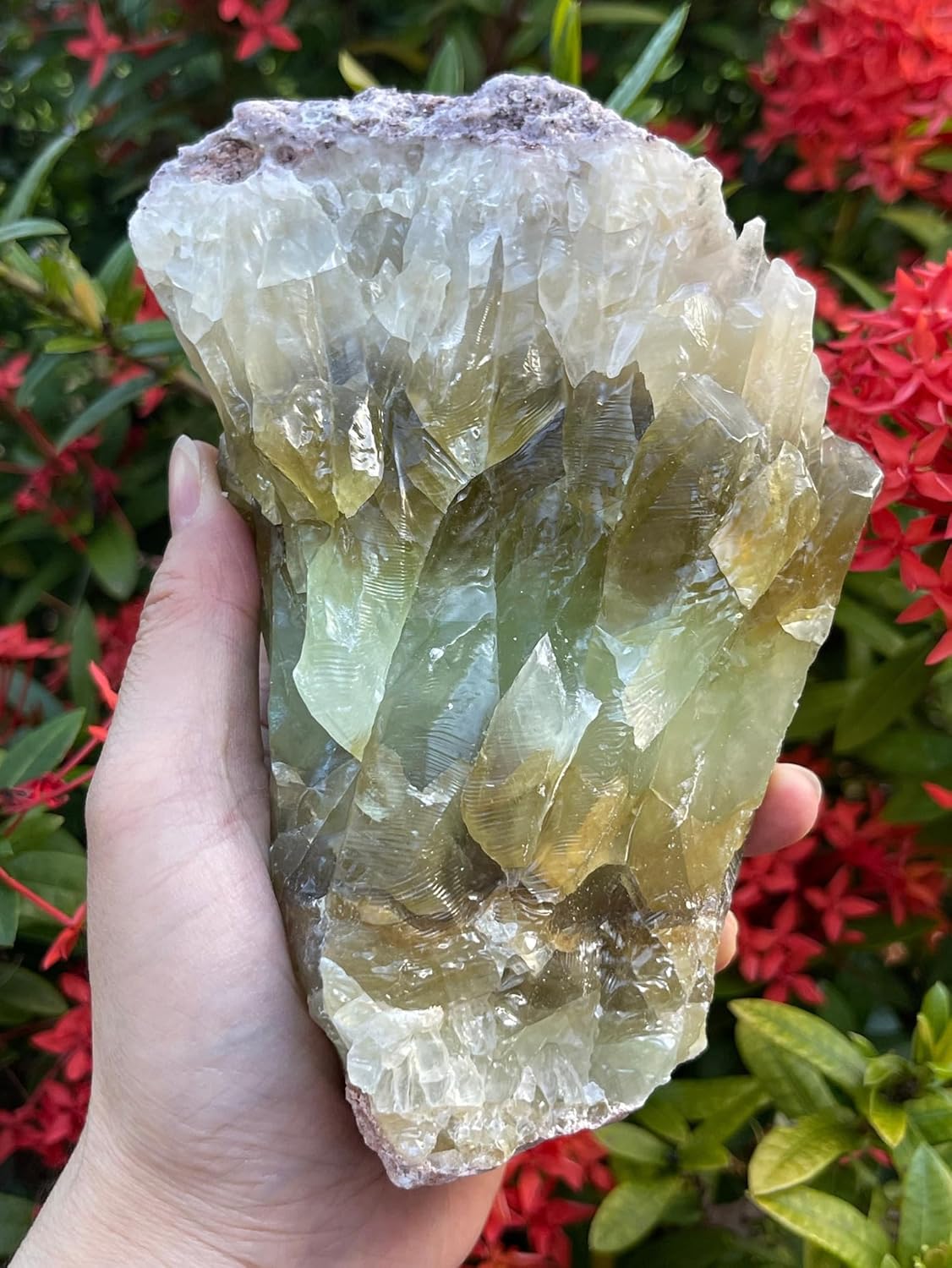 GAF TREASURES Extra Large Green Calcite Rough Natural Stones, Raw Calcite Green Crystals (0.25-0.5 Pounds)