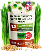 HOME GROWN Hard Red Winter Wheatgrass Seeds 12,000+ Bulk 1.5 lb Heirloom Non-GMO, Sprouting for Juicing, Healthy Smoothies, Pet Cat Grass, Microgreens, Indoor Garden (Triticum aestivum)