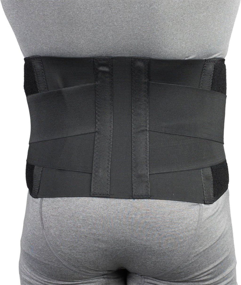 CHAMPION Industrial Belt Back Brace Abdominal Support, Black, Regular