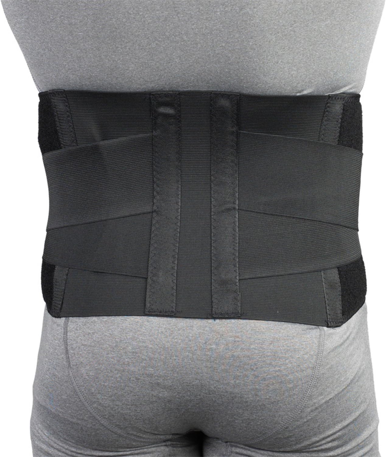 CHAMPION Industrial Belt Back Brace Abdominal Support, Black, Regular