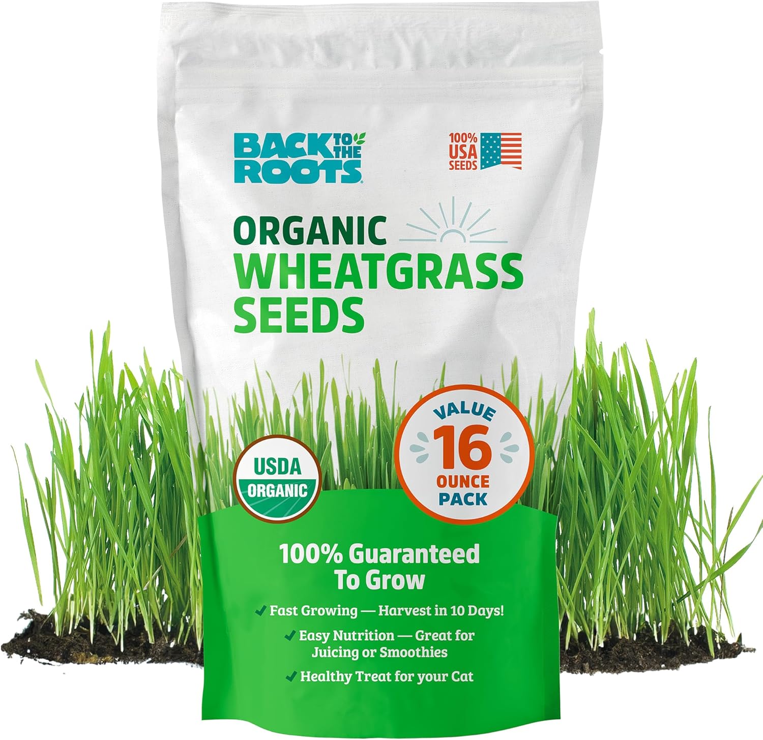 Back to the Roots 100% Organic Wheatgrass Seeds | 1 Pound Non-GMO | Nutrient Dense, Easy to Grow | Cat Grass Planter Seeds