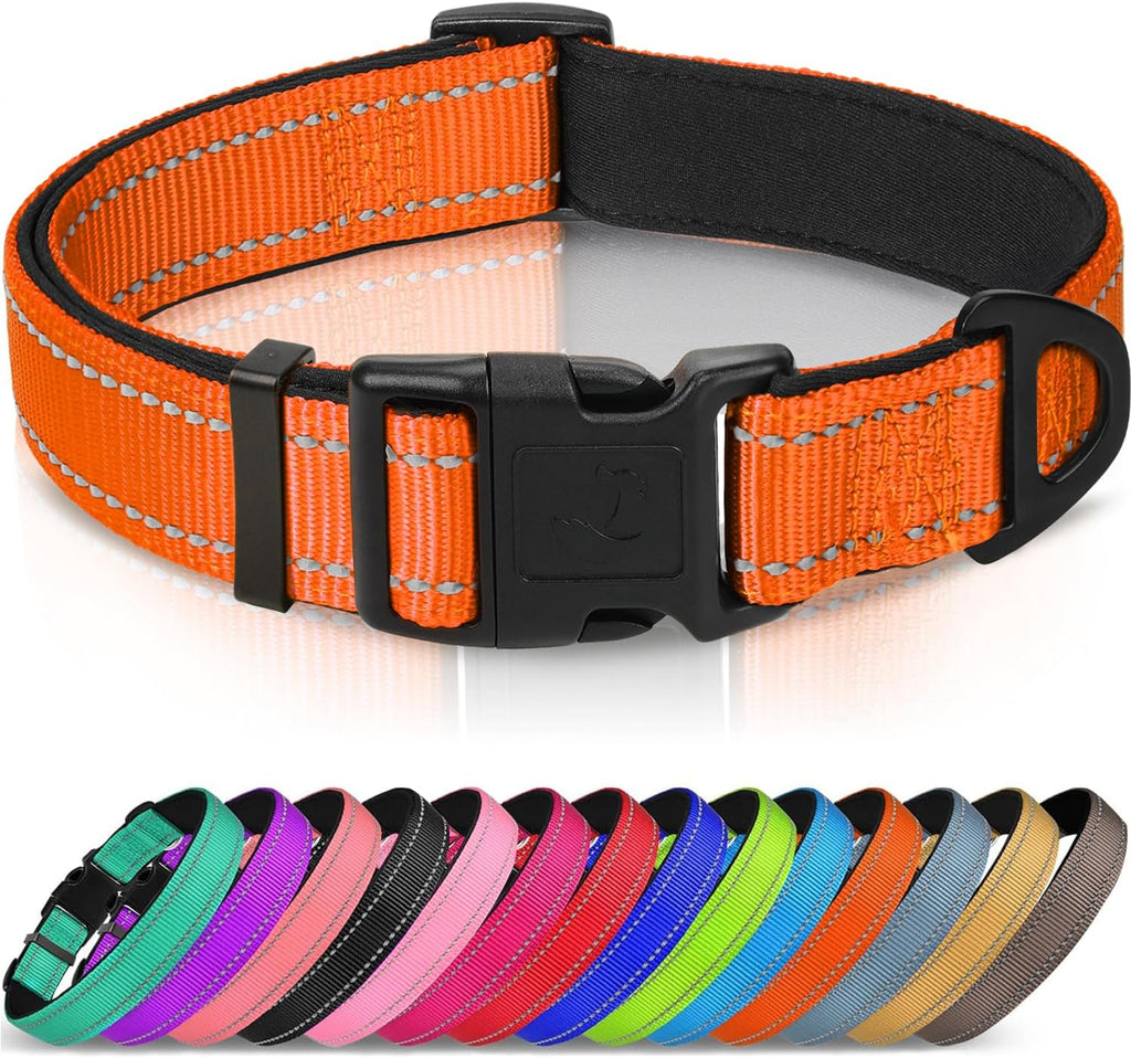 Joytale Reflective Dog Collar, Soft Neoprene Padded, Metal D-Ring, Nylon Pet Collar Adjustable for Medium Dogs, Orange, M