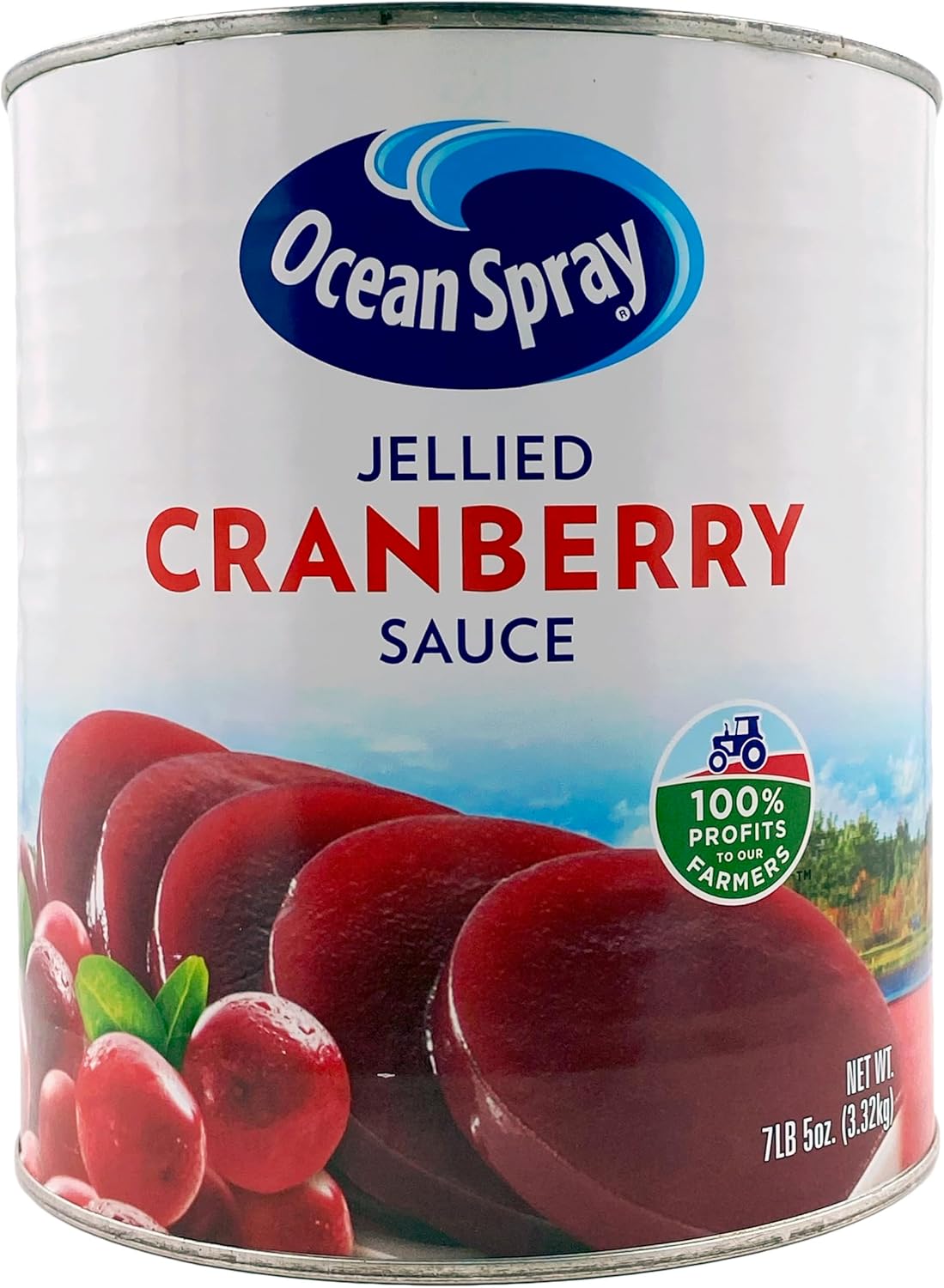 Ocean Spray Jellied Cranberry Sauce | Kosher | Made in America | 7.31 lb