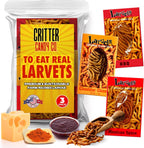 HotLix Larvets Edible Bugs (3-Pack) | Real Flavored Dried Worms in Mexican Cheese, Cheddar Cheese & BBQ | Flavored Edible Larvae | Weird Snacks for Adults | Snack Food Gifts for Any Occasions