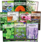 Sow Right Seeds - Large Herbal Tea Garden Seed Collection for Planting - Lemon Balm, Mint, Chamomile, Lavender, Echinacea, Borage, Hyssop, Calendula, and Holy Basil Tulsi - Non-GMO Heirloom to Grow