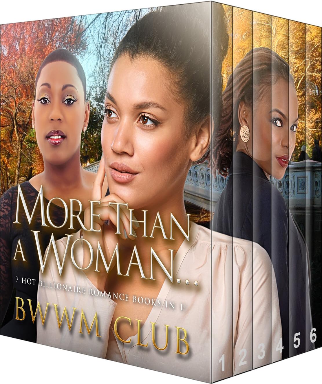 More Than A Woman: BWWM Romance (6 Packs Book 2)