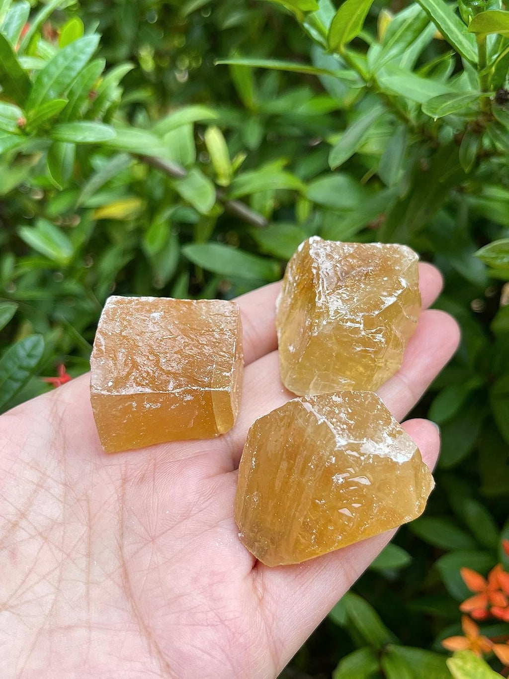 GAF TREASURES 3 Pcs Honey Calcite Rough Natural Stones, Raw Calcite Crystals (Honey Calcite)