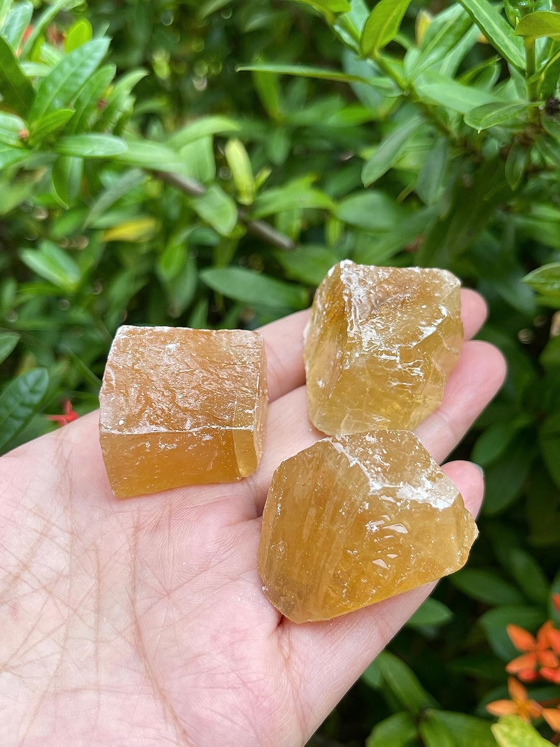 GAF TREASURES 3 Pcs Honey Calcite Rough Natural Stones, Raw Calcite Crystals (Honey Calcite)