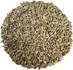 Organic Rye Berries 5 lbs - Non-GMO, Kosher, Raw Whole Grain, Bulk Seeds - Product of USA