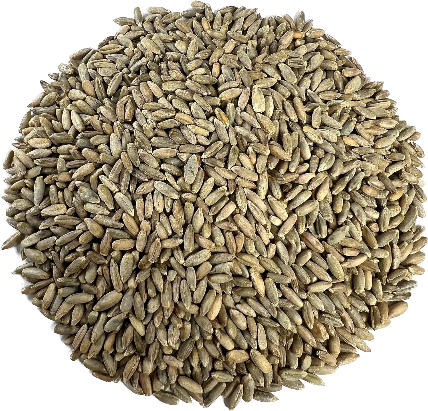 Organic Rye Berries 5 lbs - Non-GMO, Kosher, Raw Whole Grain, Bulk Seeds - Product of USA