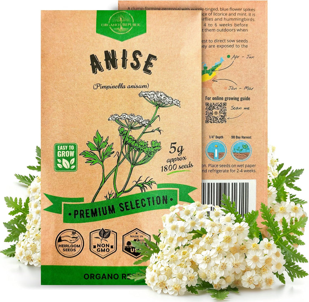 Organo Republic Anise Seeds Pack 5G - Over 1800 Non-GMO Heirloom Anise Seeds for Planting Herbs in Individual Seed Packet, Herbs Seeds for Planting Home Garden Indoor & Outdoor Gardening