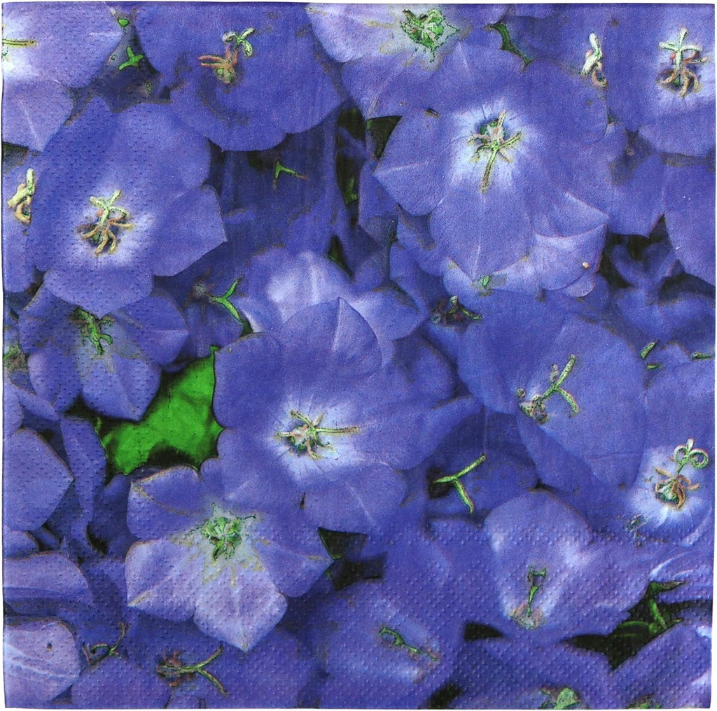 Iconikal 75-Count Disposable Paper Party Napkins Violets 6.5x6.5-Inch 2-Ply Purple Flower Design Birthday Garden Party Decor Bulk Pack