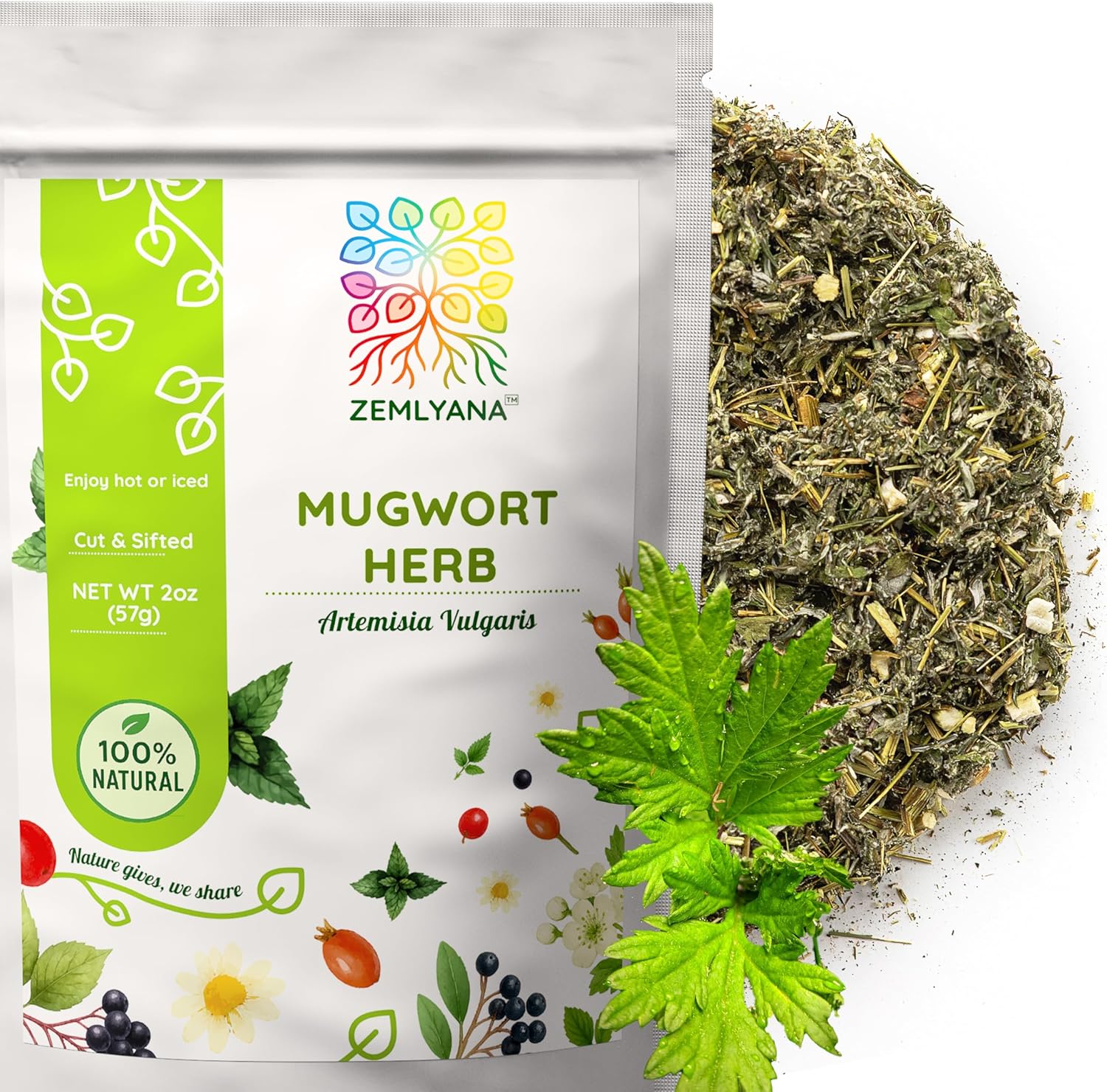 Mugwort Herb Tea - Dried Cut and Sifted Leaves Steams - Artemisia Vulgaris - Natural Mugwort Herbal Tea Loose Leaf Stem, Bulk 2 oz (56g)