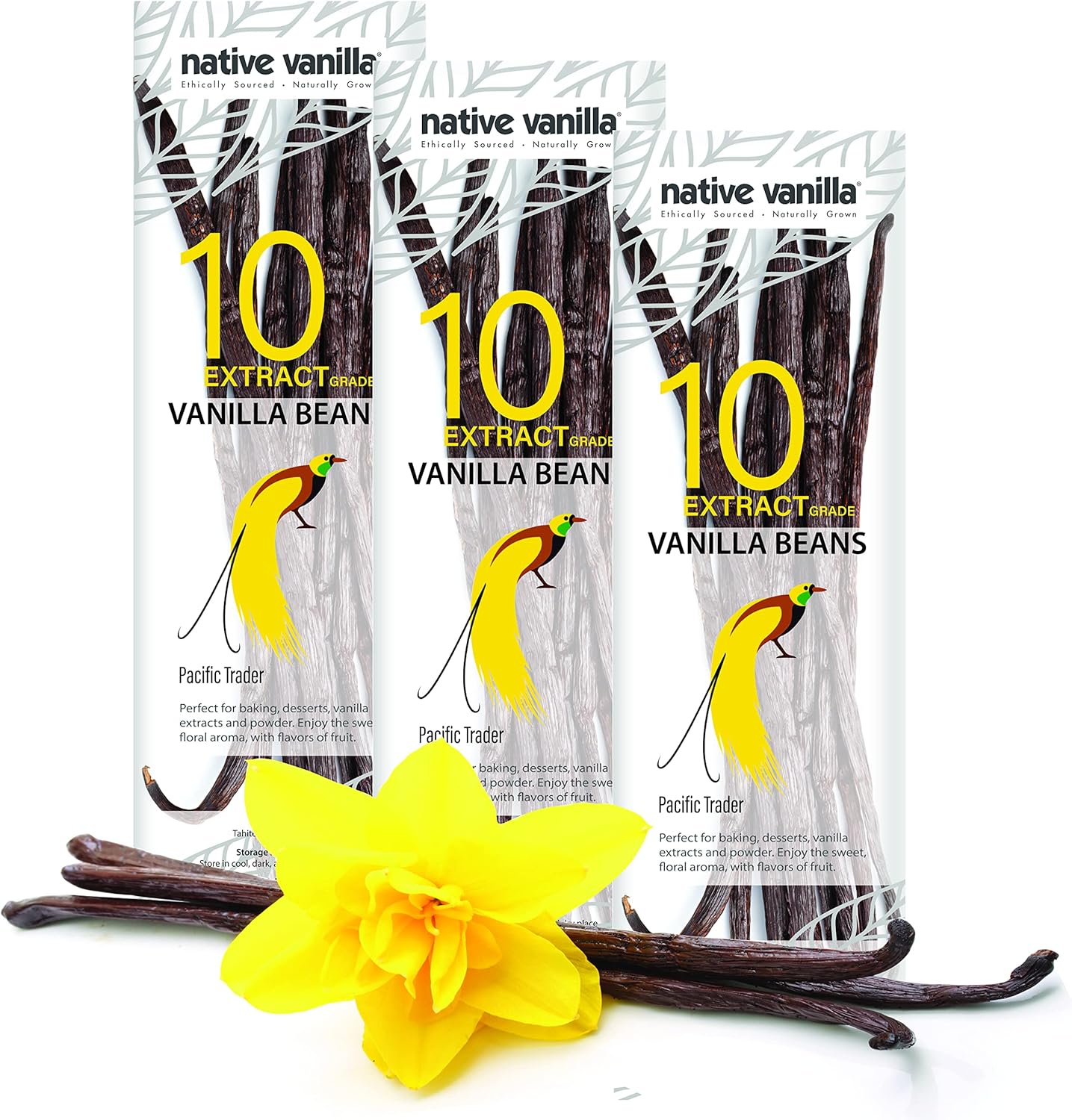 30 Tahitian Vanilla Beans - Premium Grade B Whole Vanilla Pods - For Vanilla Extract, Cooking, Baking, & Desserts - Rich, Creamy Flavor - 100% Vegan & Kosher - Non-GMO & Gluten-Free - Native Vanilla