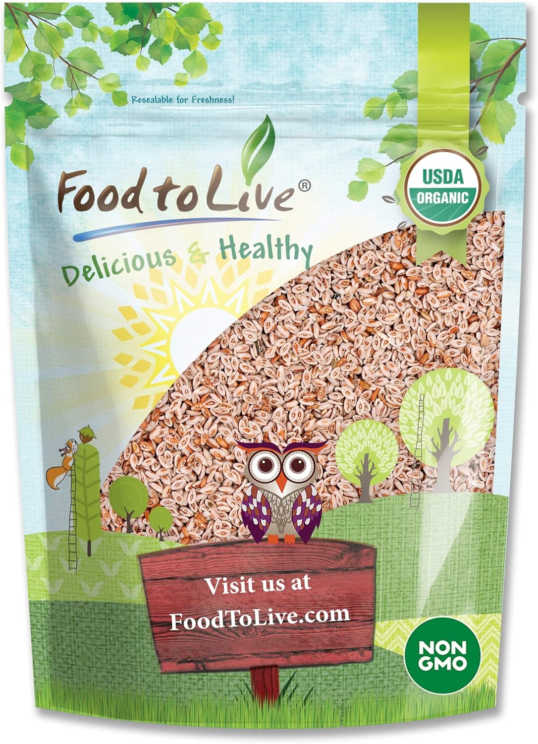 Organic Whole Psyllium Seeds, 8 Ounces - Non-GMO, Vegan, Kosher, Keto Friendly, Raw, Bulk, Rich in Iron, Natural Food Thickener