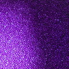 Sprinkle Deco Purple Nonpareils Mini Round Balls Confetti Sprinkles Toppings for Cake Cookie Cupcake IceCream Donut - 6oz Bag