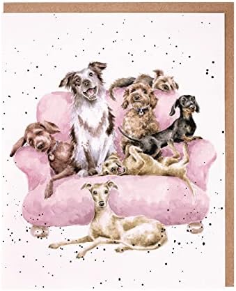 Wrendale Designs Greeting Card - MOVIE NIGHT (Dogs)