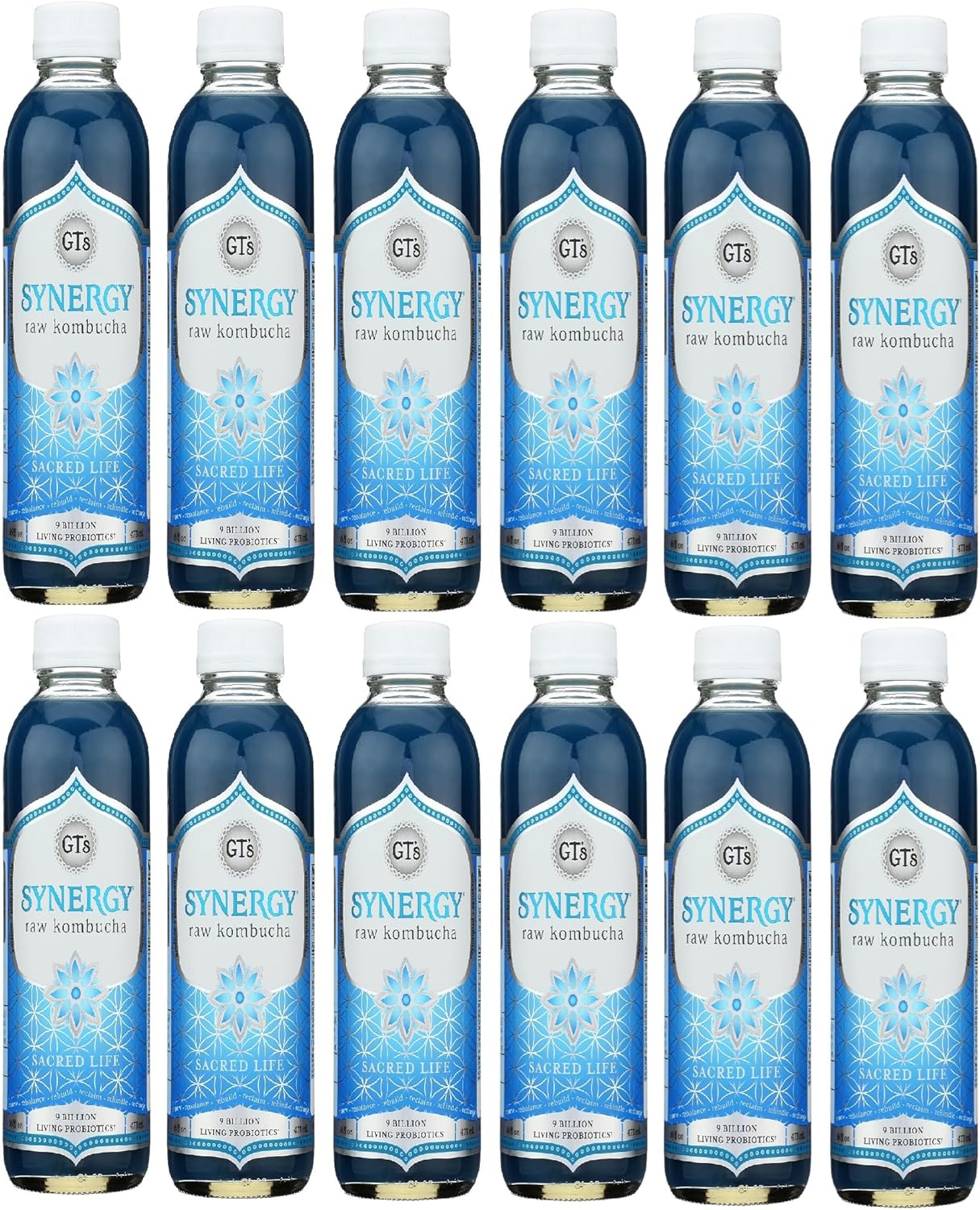 SYNERGY LIVING FOODS Organic Sacred Life Kombucha – Raw Fermented Tea Drink – 16 fl oz Bottles – Pack of 12 – Vegan, Gluten-Free, Probiotic Beverage