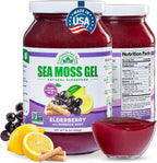 Wildcrafted Irish Sea Moss Gel | Made in USA | Rich in Vitamins & Minerals | Sea Moss Gel Raw | Nutritional Supplement | Elderberry (16 oz)