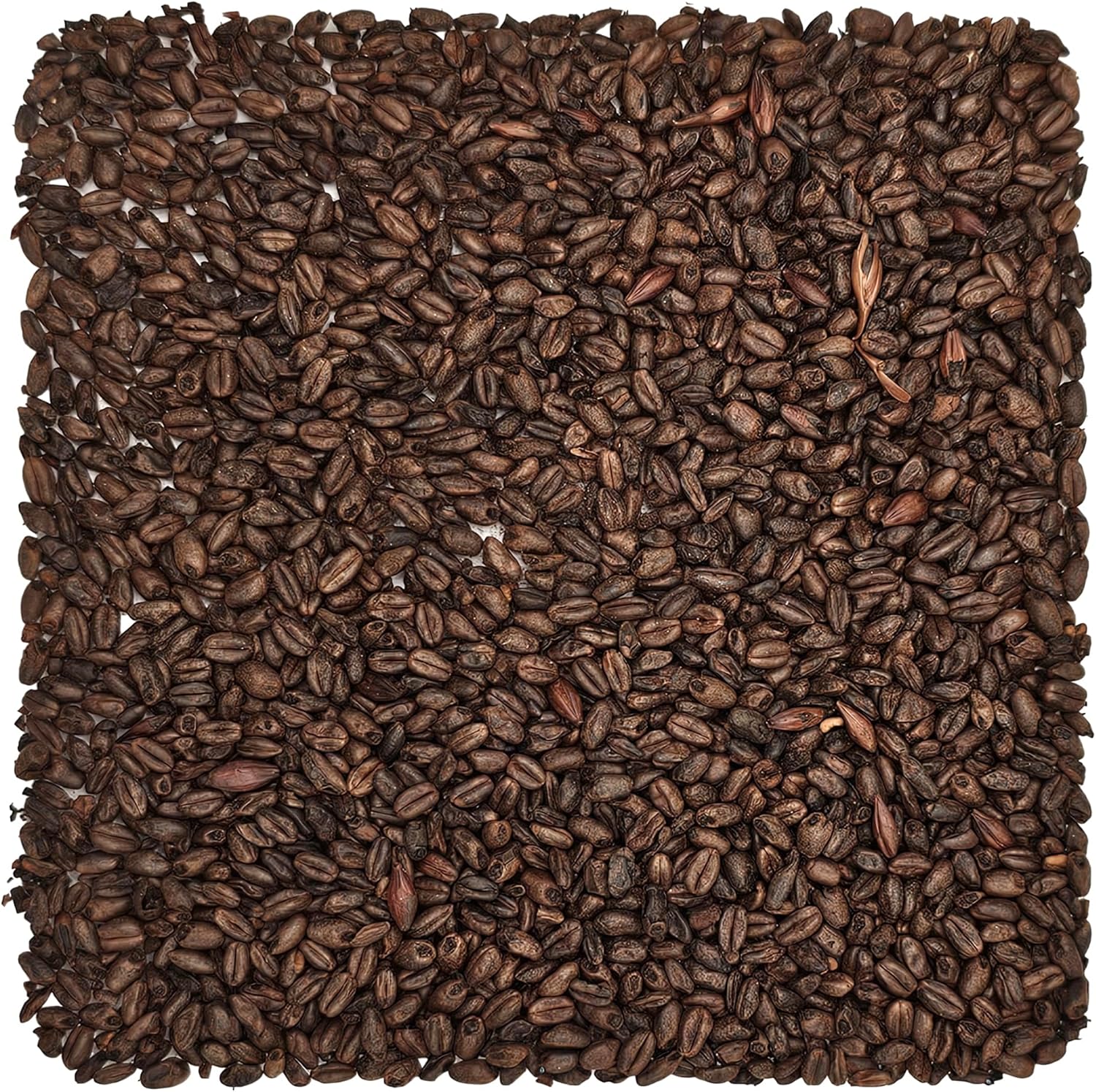 Briess BJ-5U8M-8RRM Chocolate Malt 1 lb., Brown