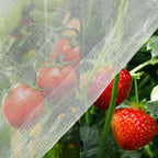 Unves 10'x20' Garden Netting, Bird Netting Mosquito Mesh for Vegetable Fruits Plant Garden Protections, Plant Covers Bug Insect Net Pest Barrier Protect Garden Plant from Birds Bugs