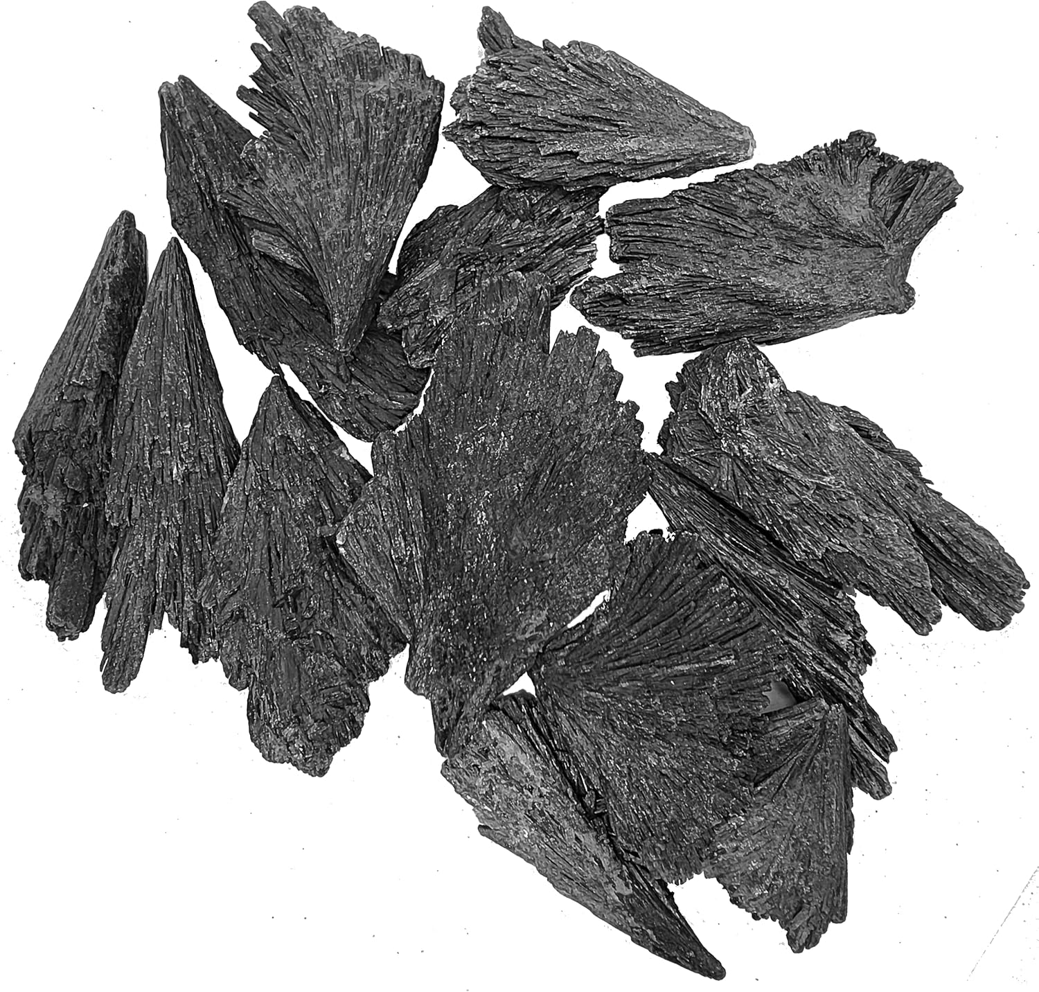 Emovendo Black Kyanite Blades- Fans - 2 to 3.5" Approx - Bulk Lot - 1 lb Pound Lot