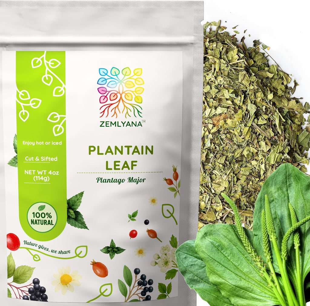Dried Plantain Leaf Herb for Tea - Plantago Major Leaves - Hojas de Llanten Hierba - Cut & Sifted Natural Broadleaf Plantain Herbs, 4oz