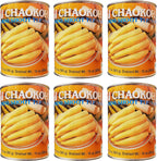 Chaokoh Bamboo Shoot Tip Whole in Water (6 Pack, Total of 120oz)