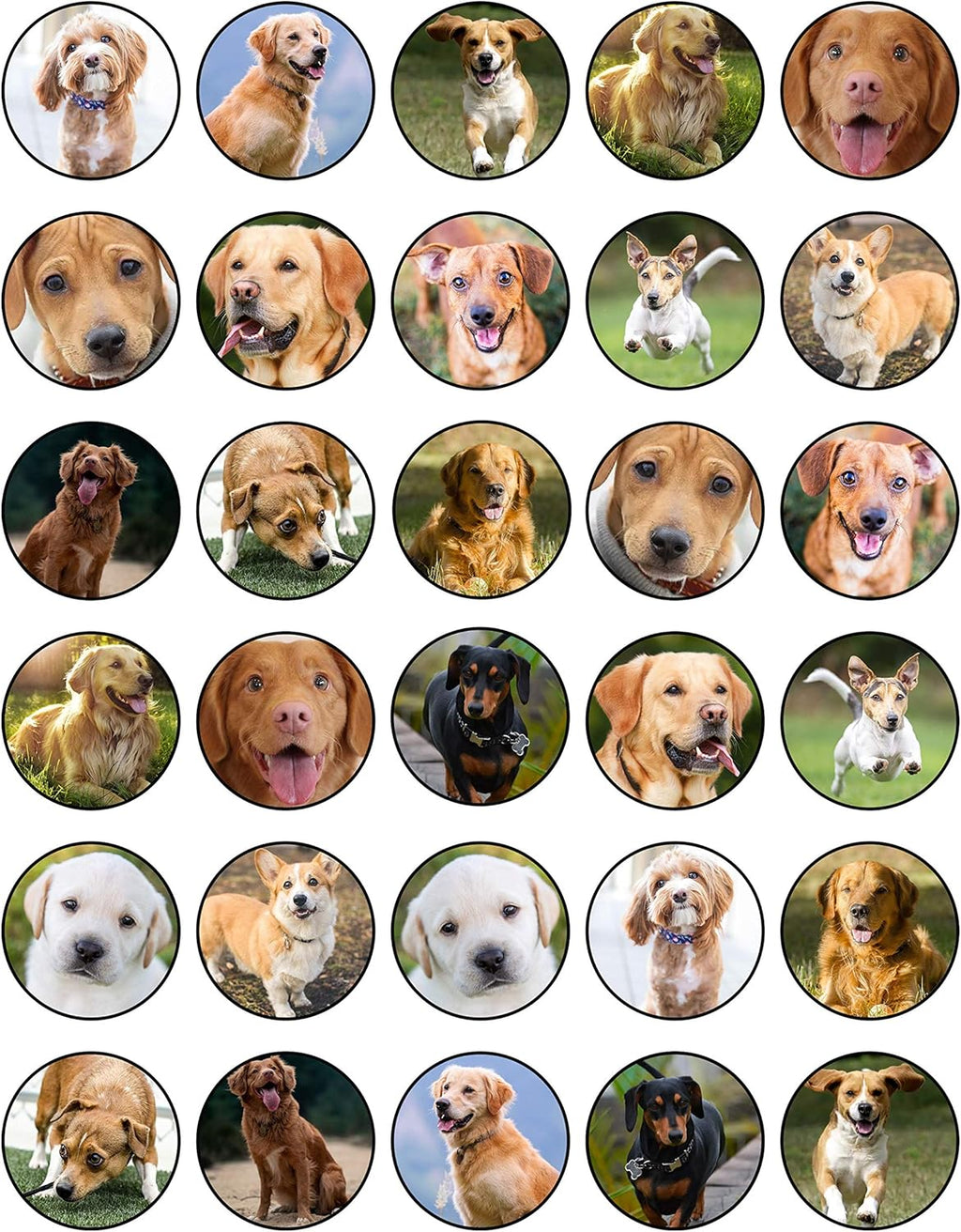 30 x Edible Cupcake Toppers Themed of Real Dogs Collection of Edible Cake Decorations | Uncut Edible on Wafer Sheet
