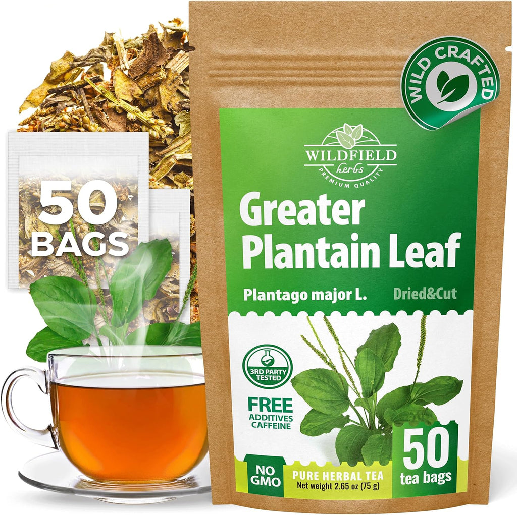 50 Bags Broadleaf Plantain Leaf Herb Tea (Plantago Majoris Folia) Plantain Leaves Tea - 50 Count 1.5 g Bags Llanten