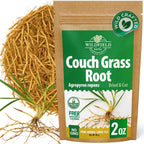 2 oz. Couch Grass Herbal Tea (Agropyron repens) – 56g Dried Couch Grass Herb Tea Hierba Cañuela