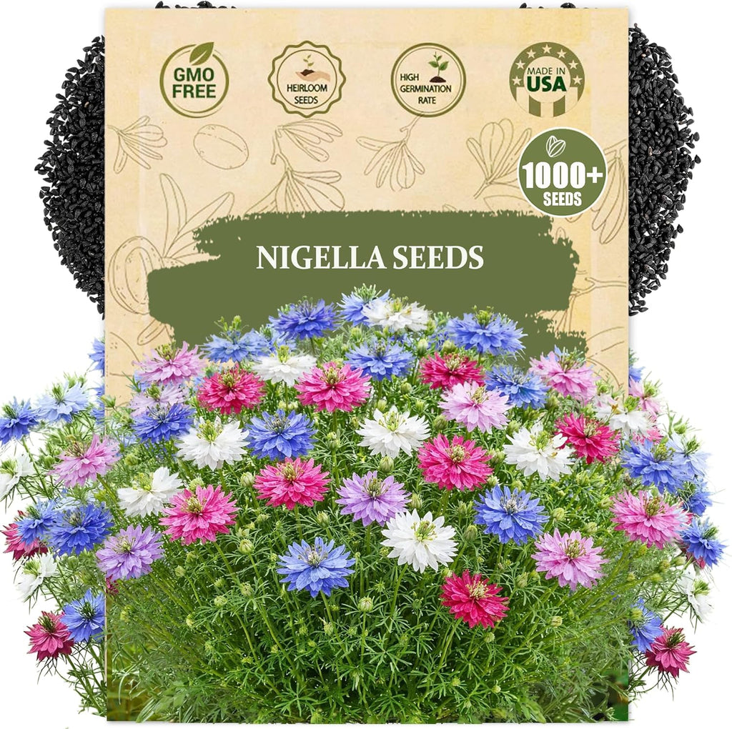 Premium Nigella Seeds for Planting (Nigella damascena) – 1000+ Heirloom, Non GMO Love in a Mist Seeds, Devil in a Bush Flower Seeds for Cottage Garden, Cut Flowers & Dried Seed
