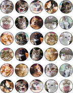 30 x Edible Cupcake Toppers Themed of Cats Collection of Edible Cake Decorations | Uncut Edible on Wafer Sheet