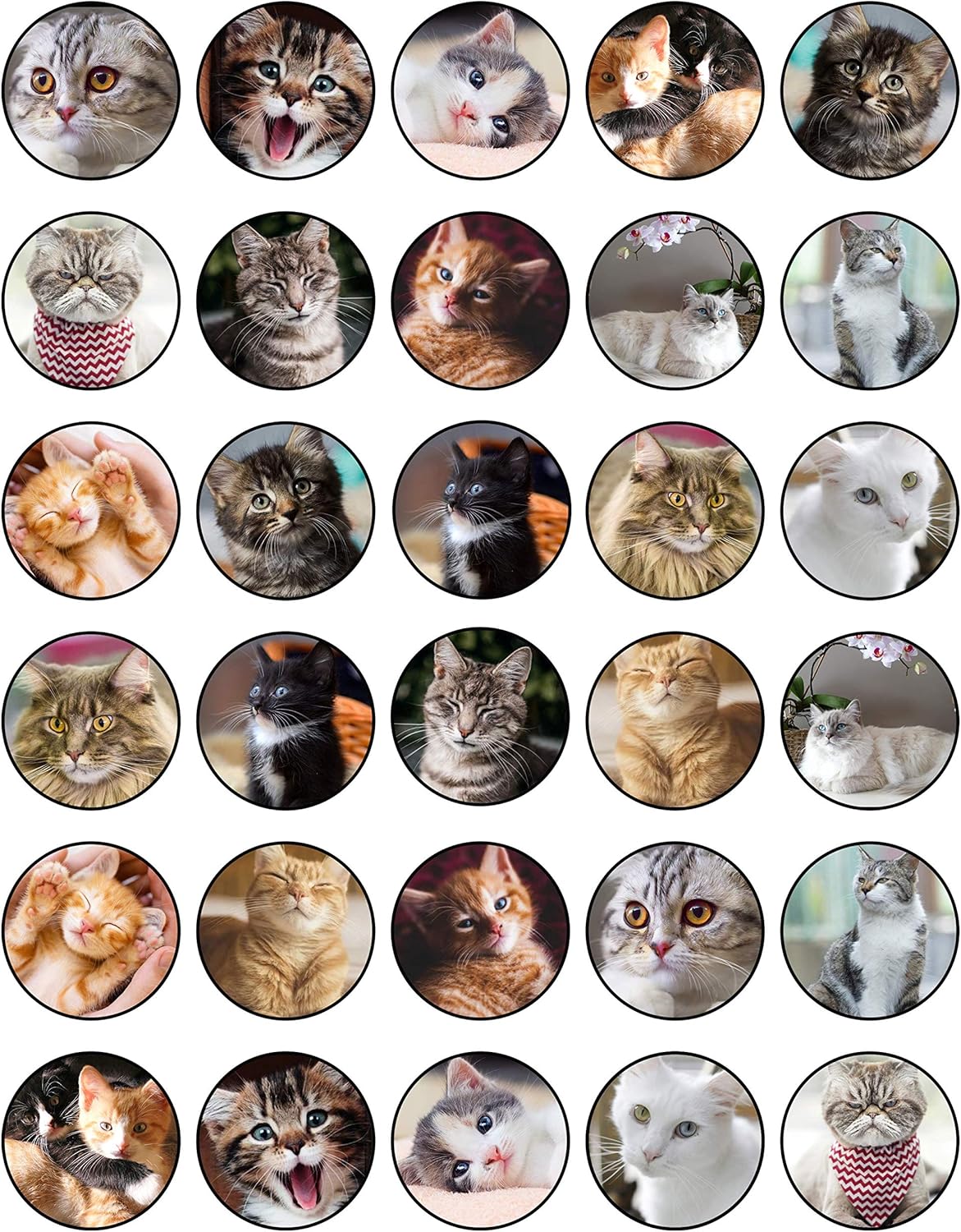 30 x Edible Cupcake Toppers Themed of Cats Collection of Edible Cake Decorations | Uncut Edible on Wafer Sheet