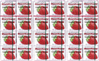 Marukawa Bubble Gum Strawberry 1.52oz (3 Pack)